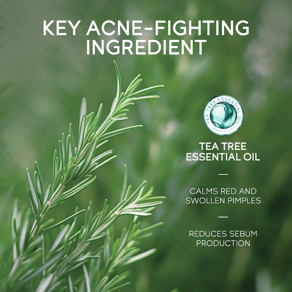 LAIKOU Tea Tree Acne Gel 15g,  - Tea Tree Spot Treatment recensie en prijs